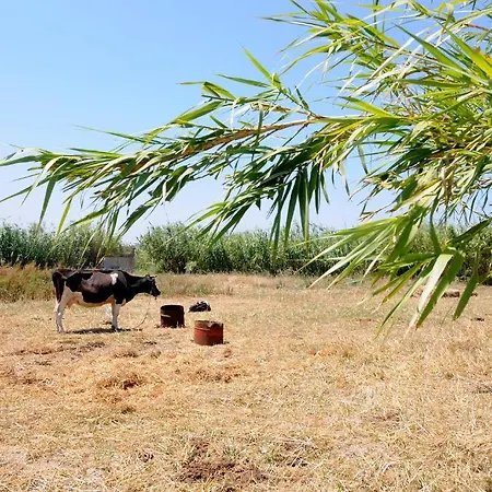 Lägenhet Marili Parasporos