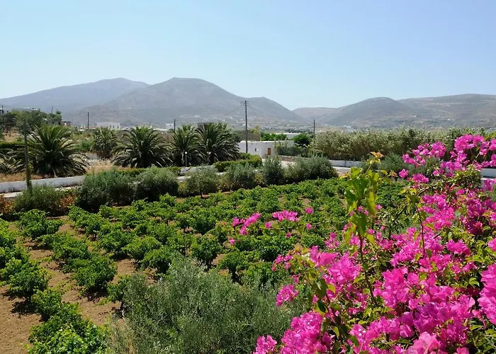 Marili Appartement Parasporos