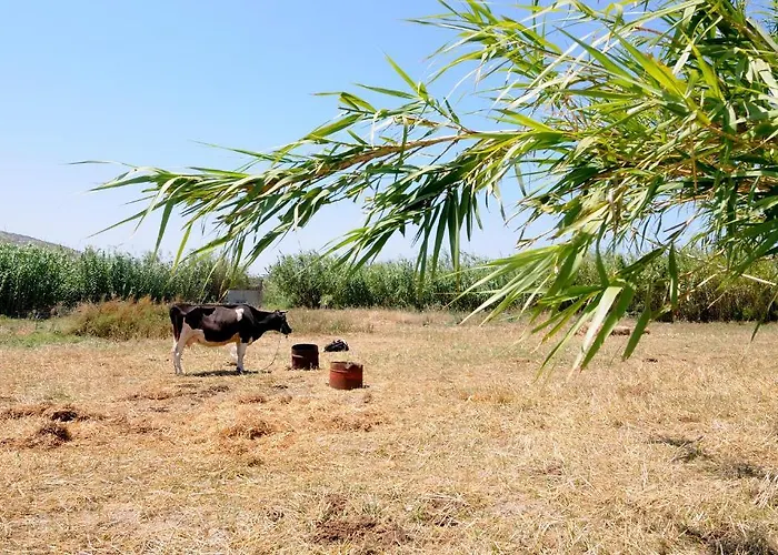 Apartament Marili Parasporos